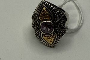 Bid in the August 8th online auction starting at 10AM